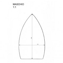 maschio