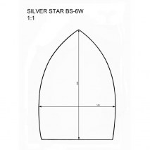 silver-star-BS-6W