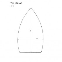 tulipano